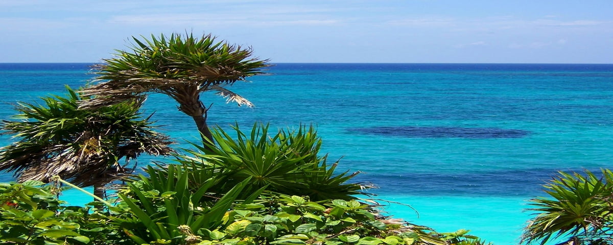 Strand med palmer och hav - gratis HD bakgrundsbild