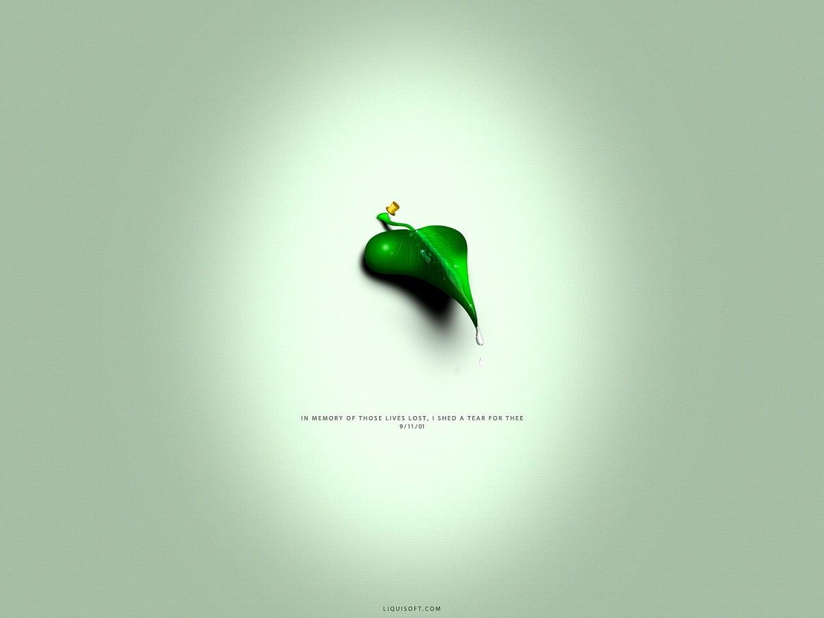 1600x1200 bakgrundsbild - realistiska foton, gröna, digital konst, frukter, logotyp