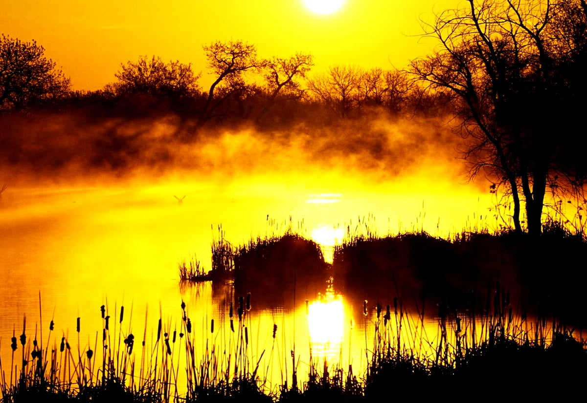 Solnedgång över sjön : gratis HD bakgrundsbilder