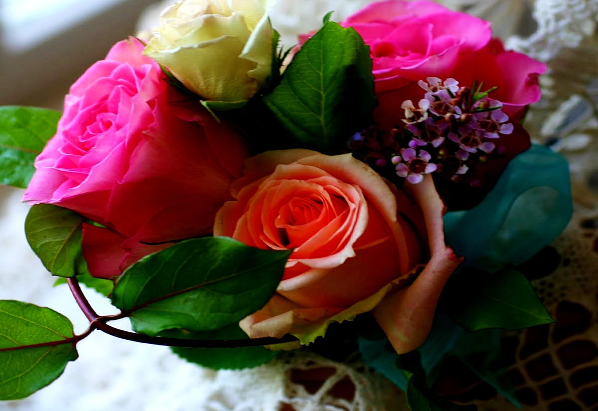 Gratis bakgrundsbild — blommor, mode, trädgård rosor, rosa, bukett (1600x1100)