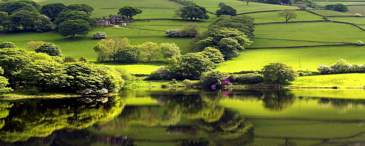 Skrivbordsbakgrund : för dubbla bildskärmar, natur, sjö, gröna, reflexion (2560x1024)