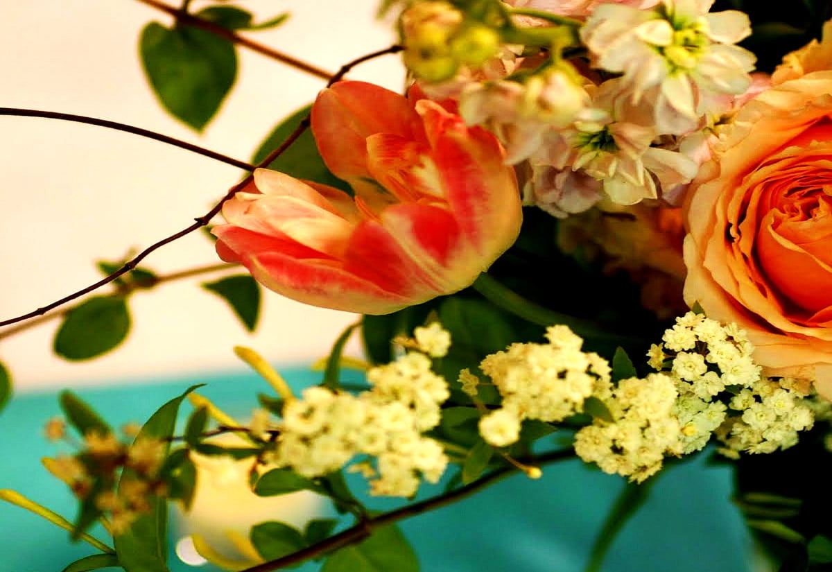 Blommor, mode, reste sig, rosa, kronblad - bakgrundsbild (1600x1100)