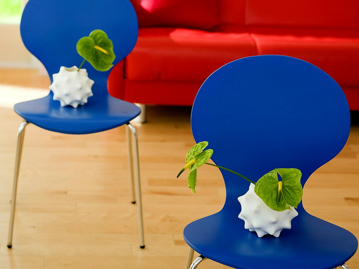 20+ Stol bakgrundsbilder HD 🔥 Ladda Ner Gratis