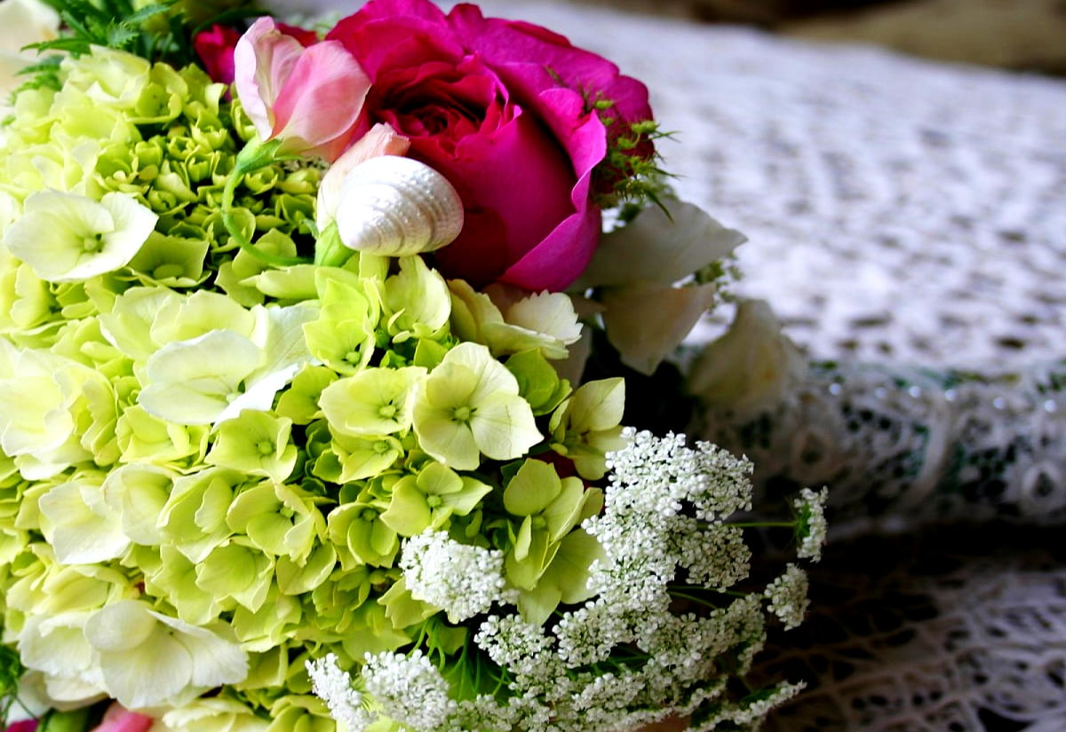 Blommor, bukett, mode, klippa blommor, blomster - bakgrundsbild