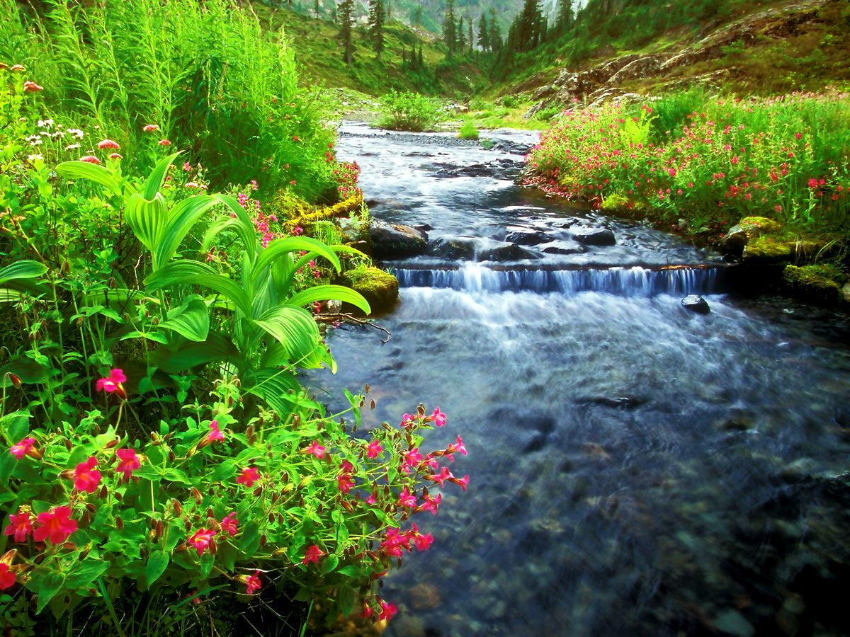 Natur, Ström, Flod bakgrundsbild | Topp Gratis Bakgrunder