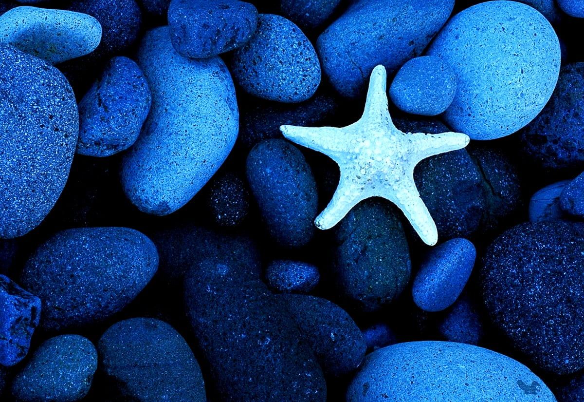 Stenlandskap, blå, sjöstjärna, sten, grus / gratis skrivbordsbakgrund