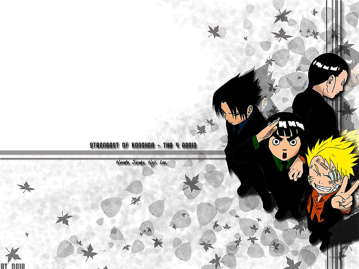 Tecknade serier, anime, ritning, svart hår, katter (scen från datoranimerad film "Naruto") — bakgrundsbild 1024x768