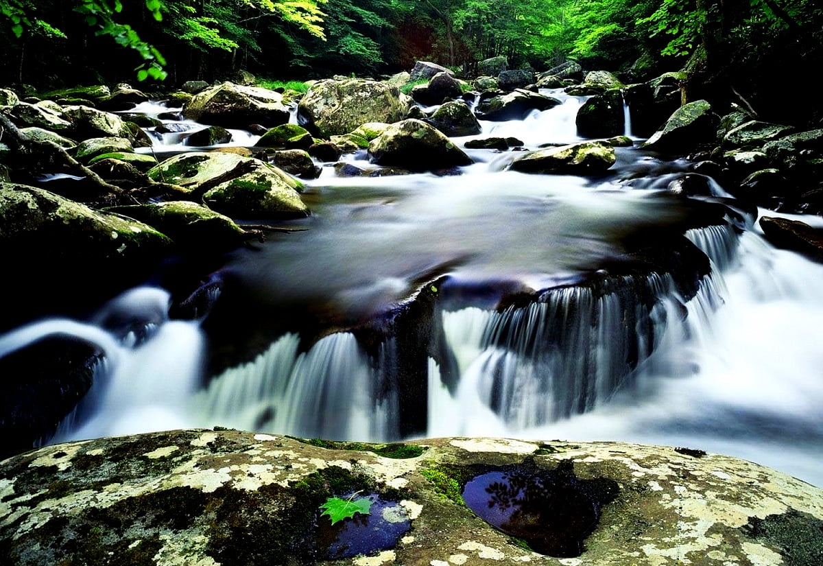 Bakgrund Flod, Natur, Ström | Bästa Bilder