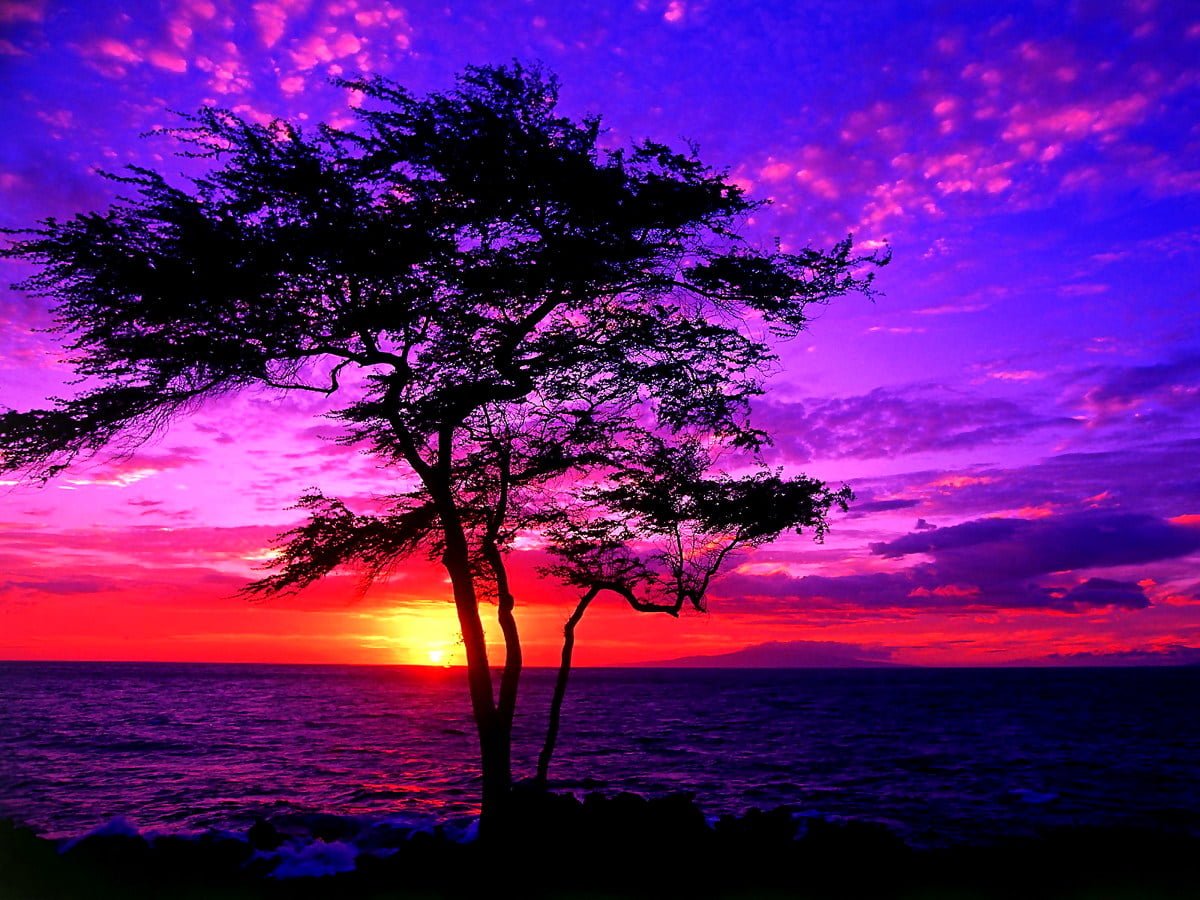 Solbild 490+ Sol bakgrundsbilder HD | Ladda Ner Gratis