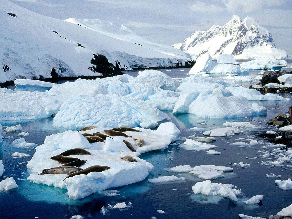 Snötäckt berg (Alaska) / gratis bakgrund 1600x1200